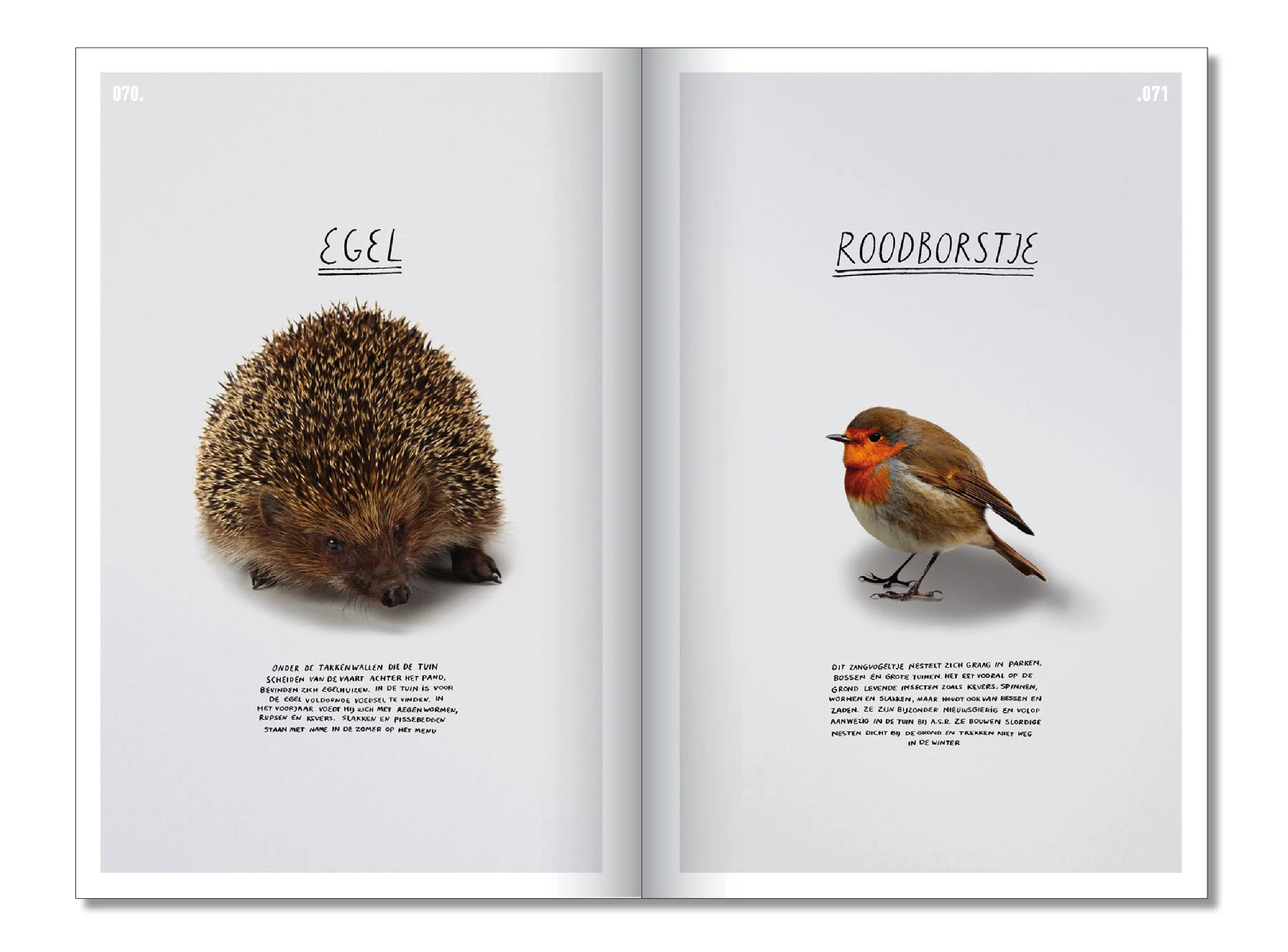 Book spread with a hedgehog and a robin on pale pages, titled Egel and Roodborstje, with short texts