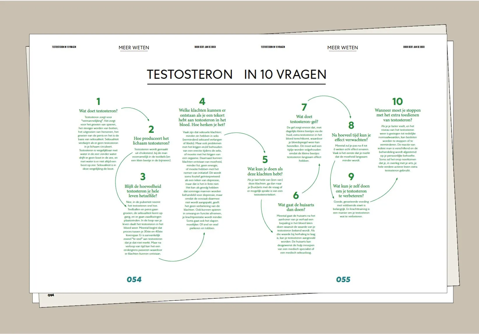 Infographic spread Testosteron in 10 vragen with ten numbered questions linked by a green spiral line