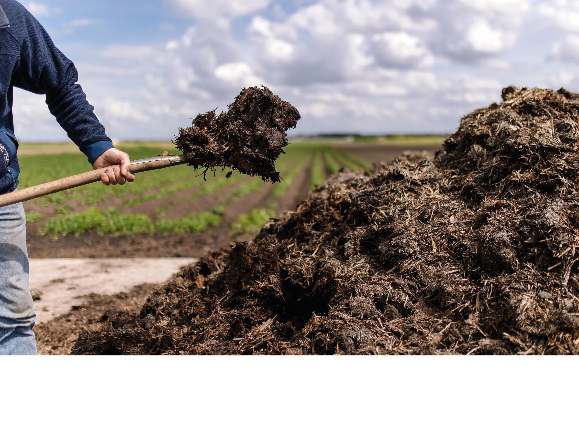 Person shovelling dark compost from a large heap on farmland under a cloudy sky