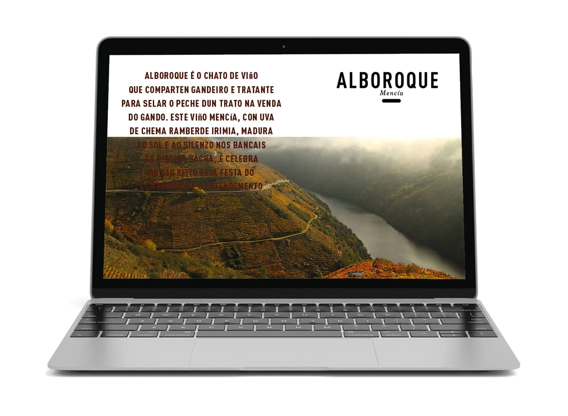 Alboroque website on a laptop showing Galician text over an autumn view of terraced vineyards above a river