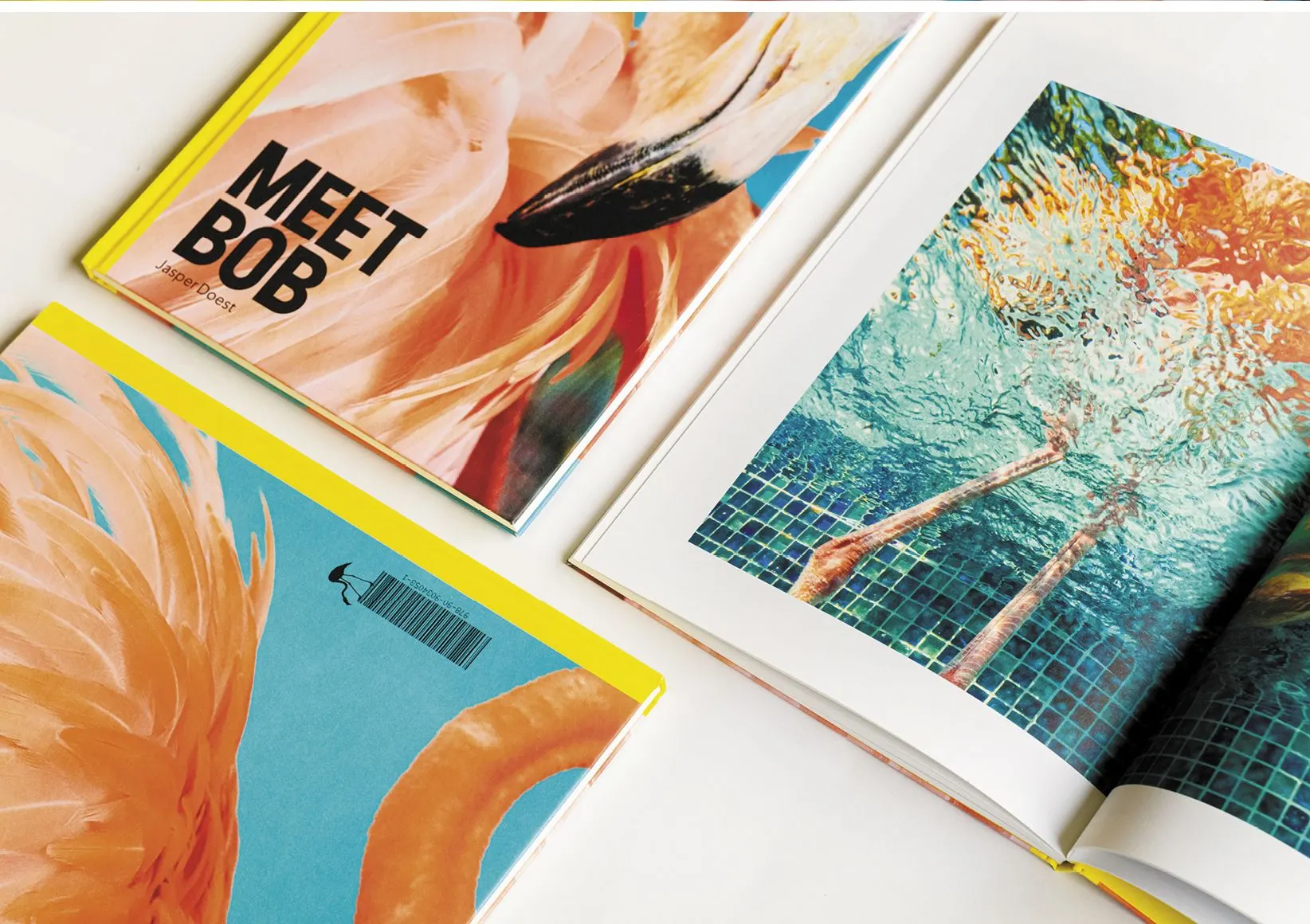 Meet Bob hardcover beside an open book with an underwater swimmer in a tiled pool and an orange flamingo plumage