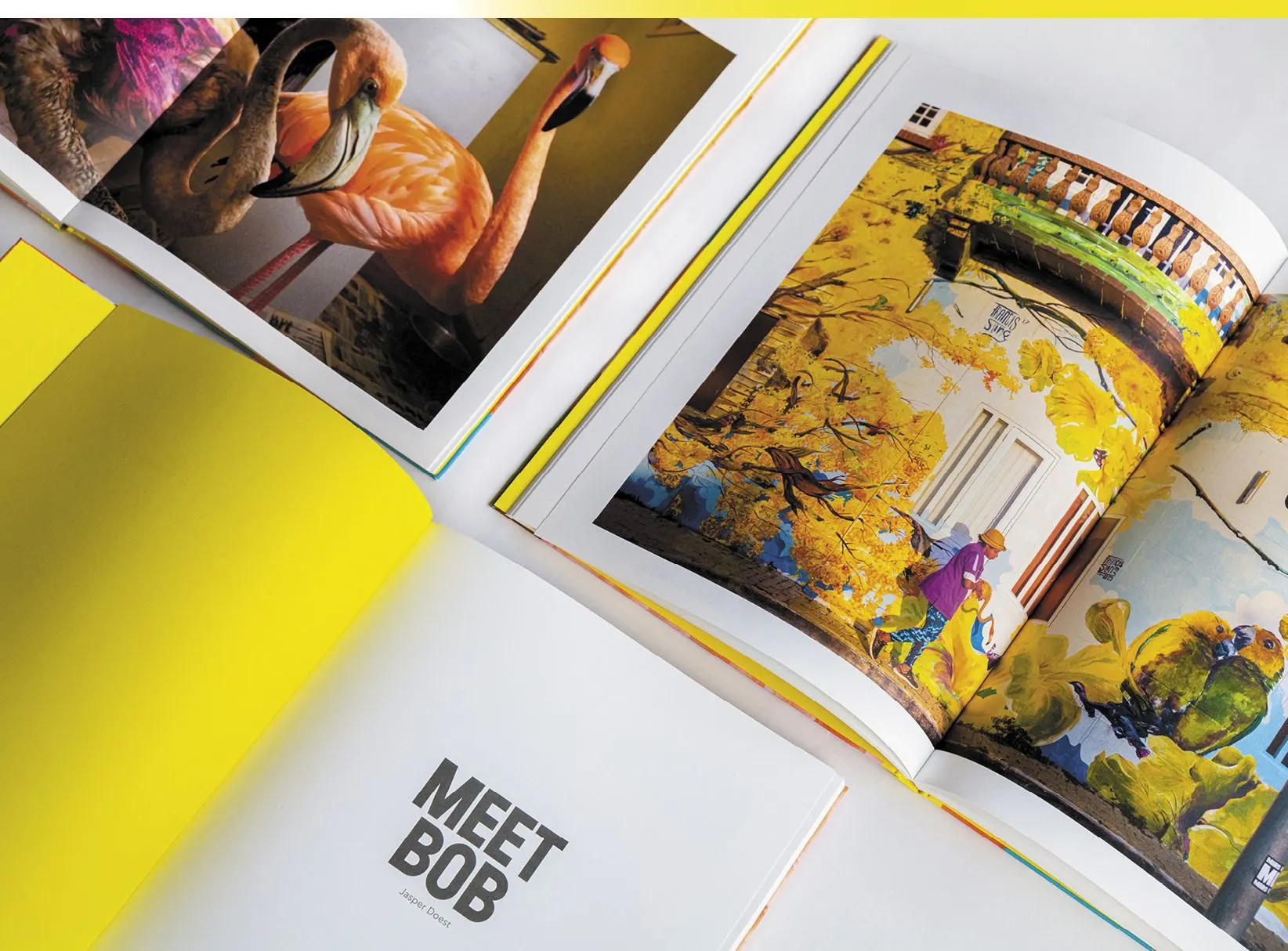Open 'Meet Bob' book with flamingo photographs and a colourful painted house scene, yellow endpaper and small title