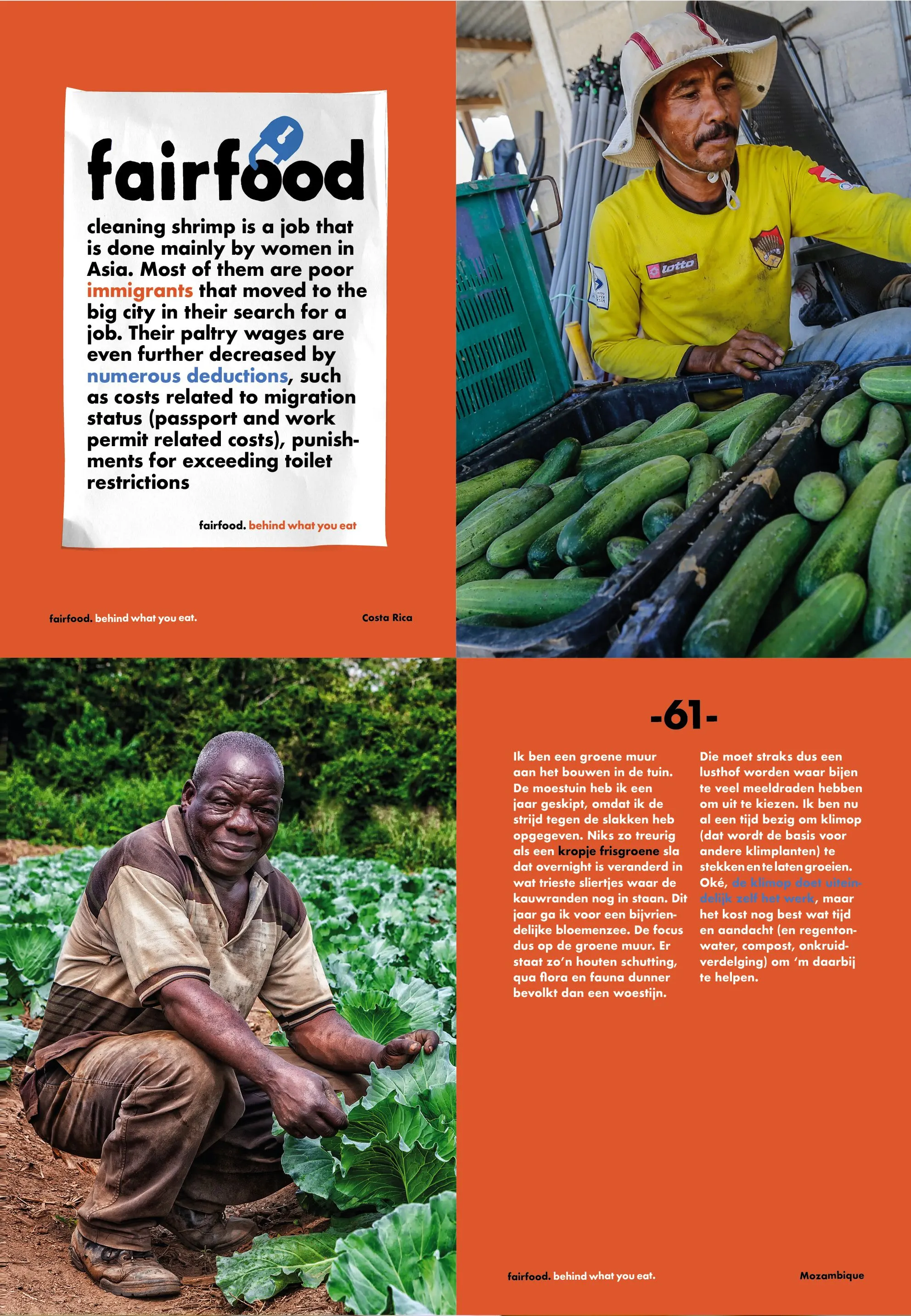Fairfood publication spread with orange and white pages, text about shrimp cleaners and photos of farm workers