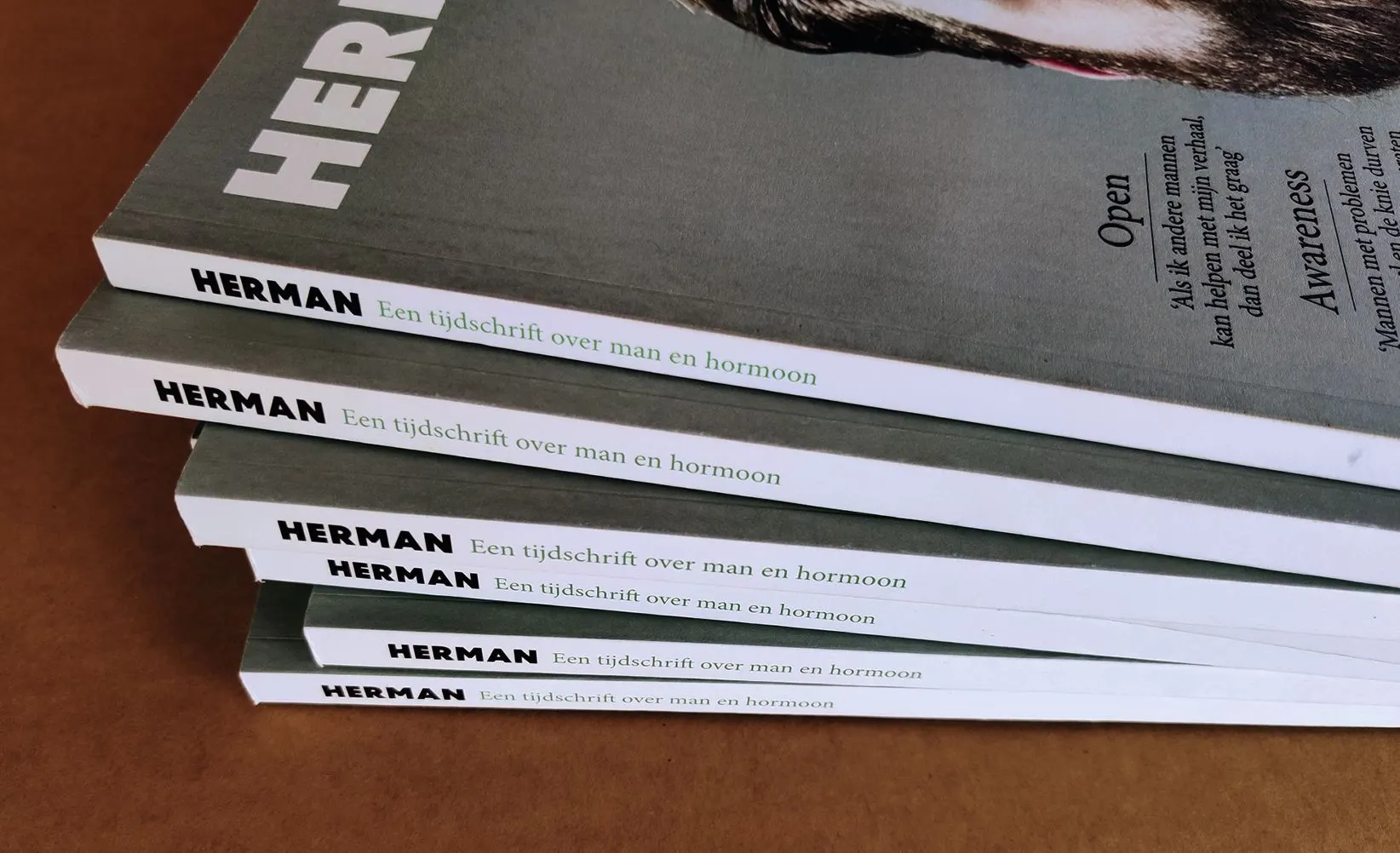 Stack of HERMAN magazines seen from the side, with the subtitle Een tijdschrift over man en hormoon on the spines