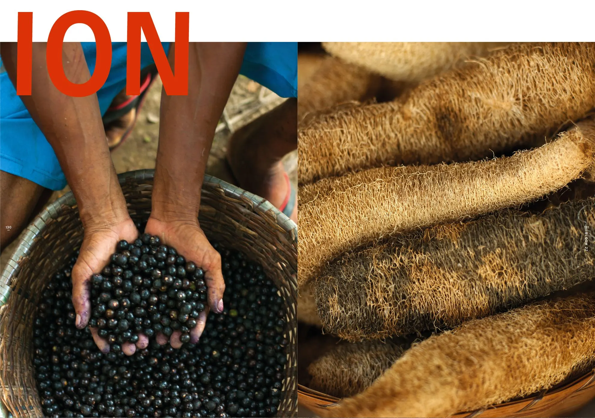 Hands holding a heap of dark acai berries beside a close-up of fibrous brown seed pods, with red lettering