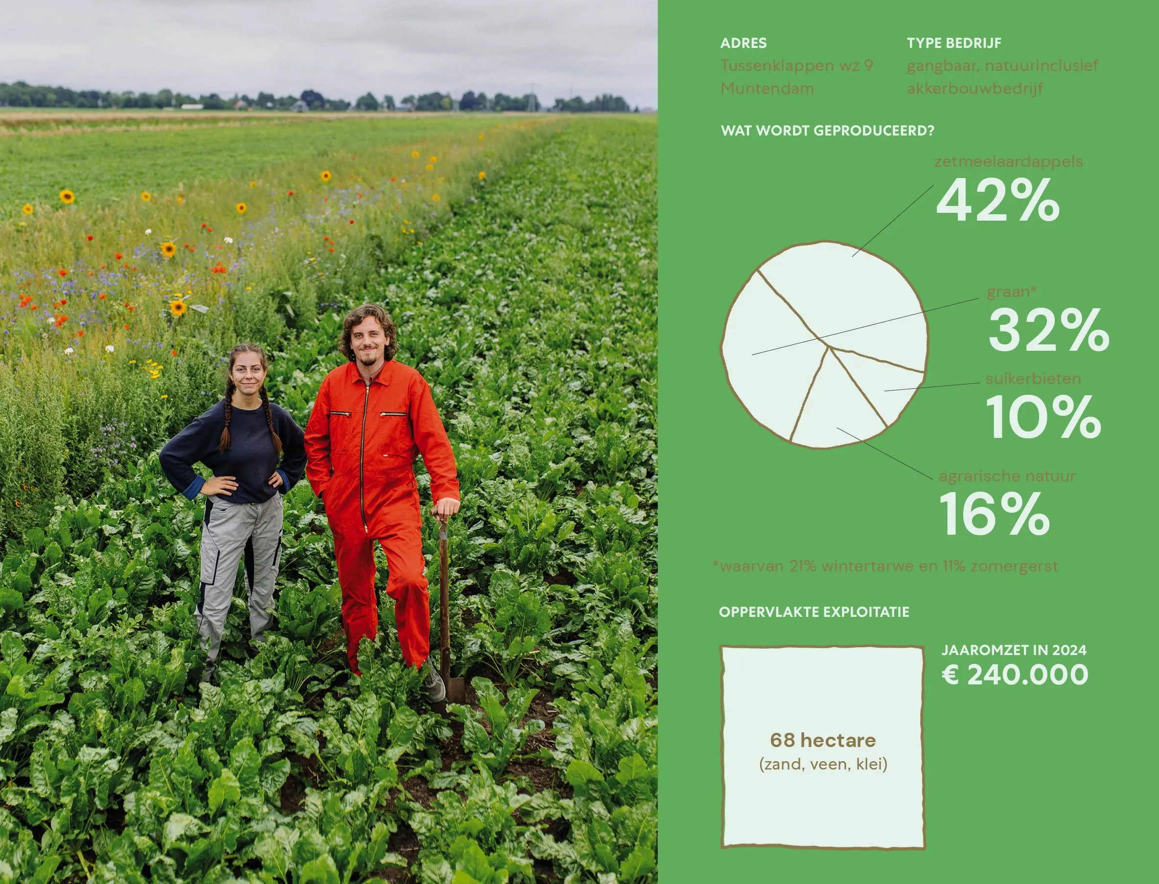 Slide with two farmers in a sugar beet field beside green farm facts: 42%, 32%, 10%, 16%, 68 hectare, €240,000 turnover
