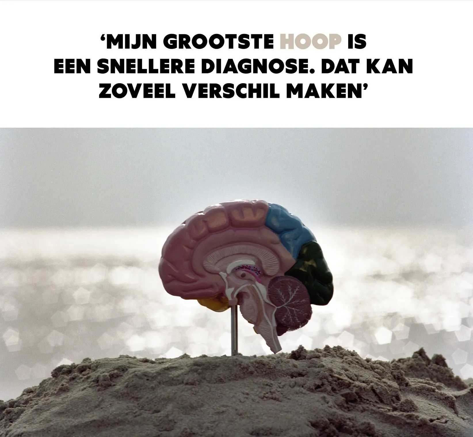 Page with the quote Mijn grootste hoop is een snellere diagnose above a photo of a brain model on a beach