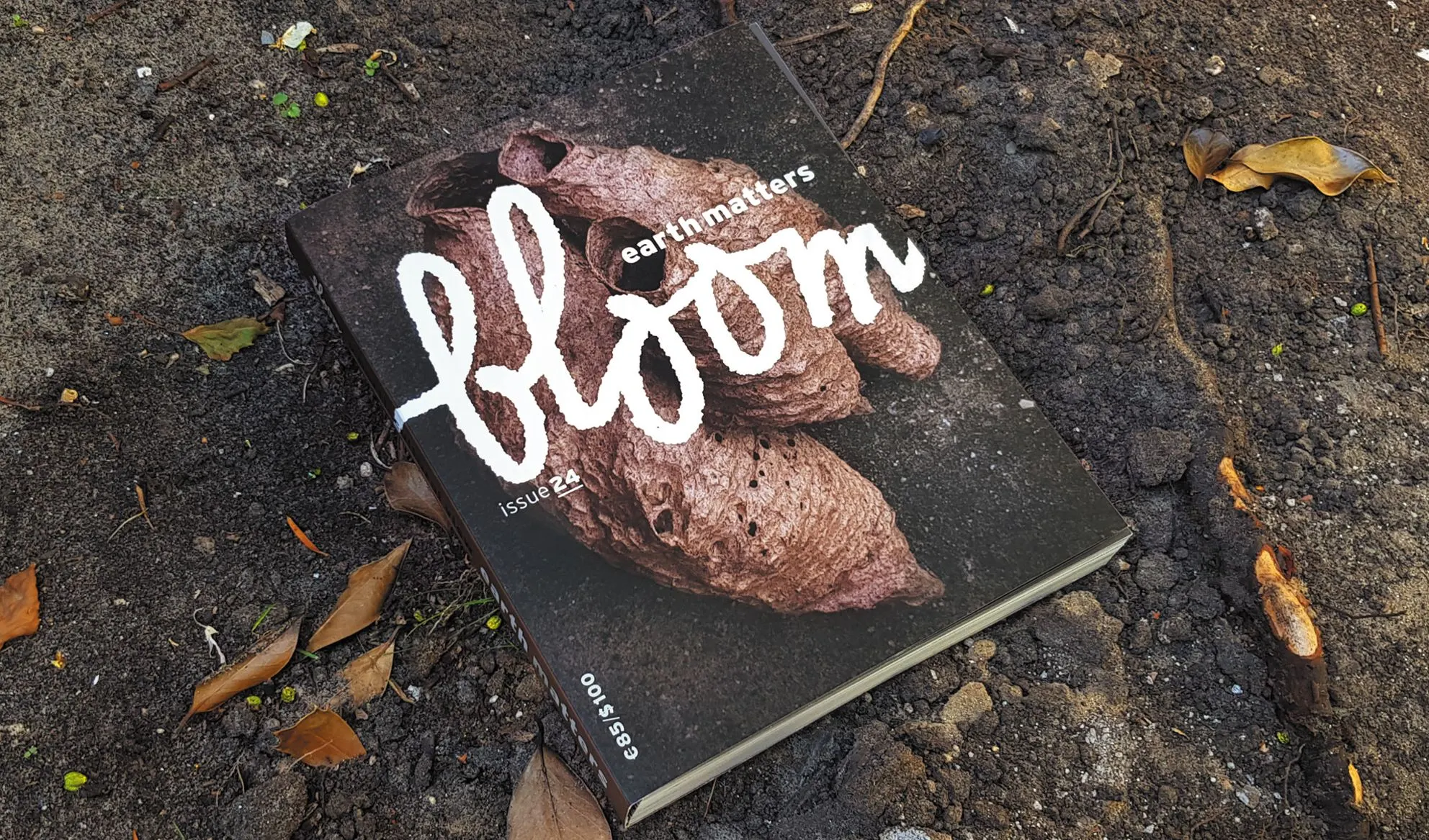 Cover of Bloom Earth Matters magazine with white handwritten logo over a seed pod on dark soil