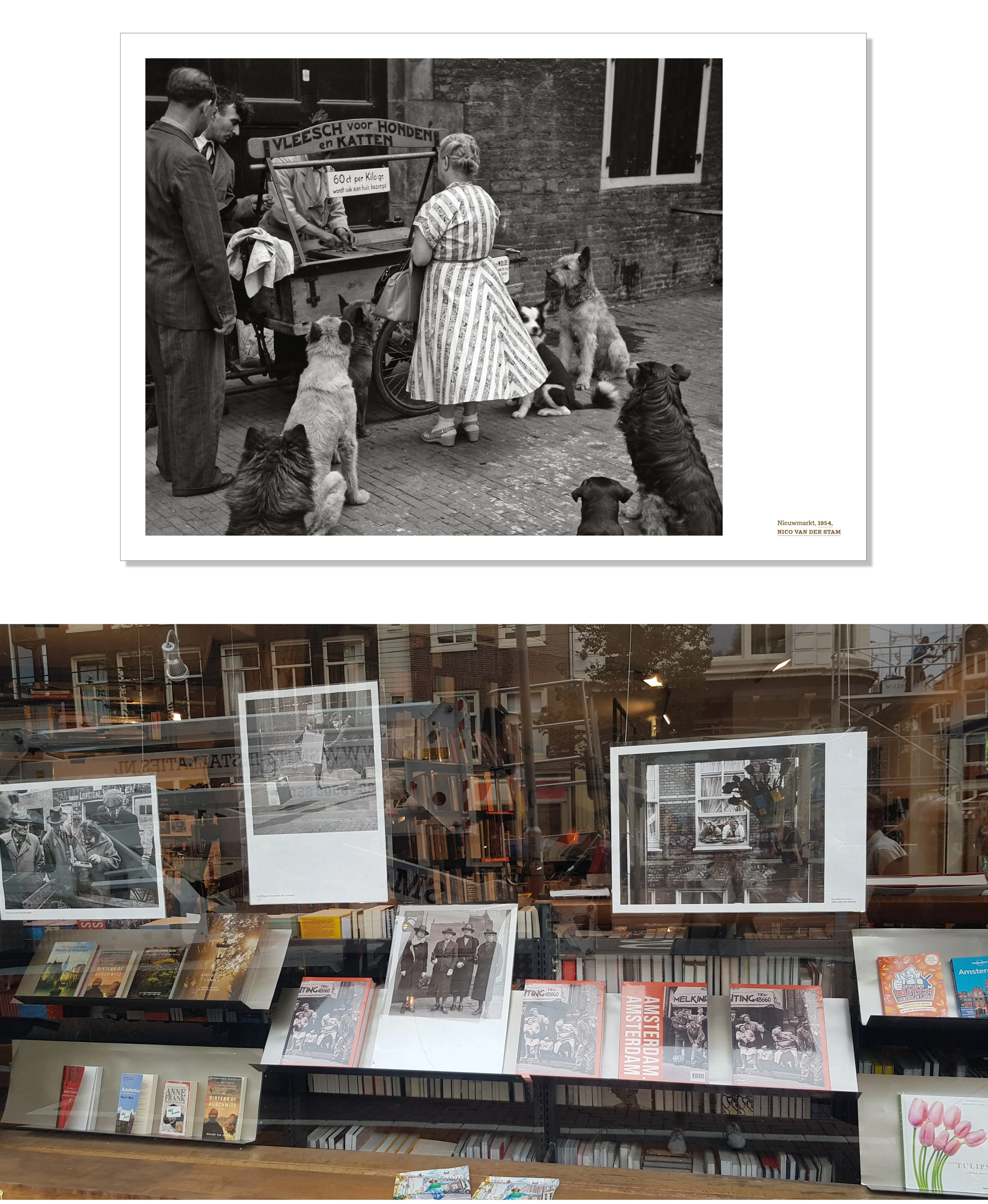 Book page with a black-and-white street photo of a woman and dogs, above a bookshop window displaying the book