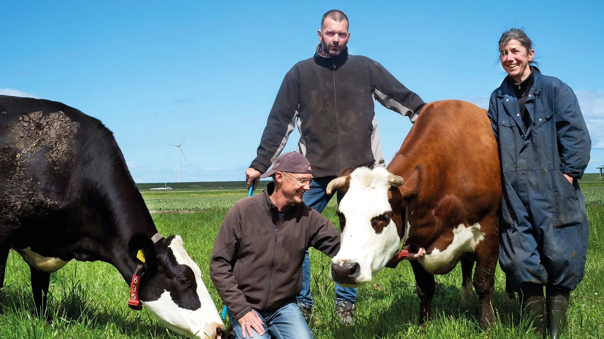 Visualizing agricultural inclusiveness